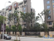 诚意!!普宅内大洋房复式四房 少有的选择面 别错过