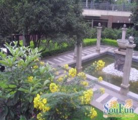 房子是跃层,客厅卧室外景观很好,采光很好