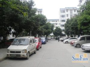 金卉苑2室1厅东东南南