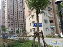 新挂牌双南户型通透性好格局好出入小区方便纯毛坯