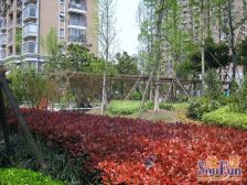 地杰精装一房,中间楼层,采光好,位置好,双地铁