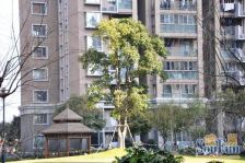 景观高楼层,楼 王位置,前后视野开阔,诚意出售!