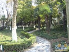 与汤臣一品同款江景,三年难出一套,空关有钥匙