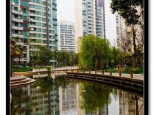 带产权车位 现场实勘,精装,电梯房 必看好房