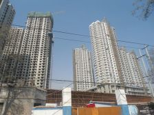 西关 省政府 元森 玉兰园 毛坯 正规户型 诚意出售