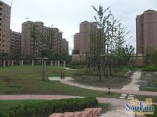 张江·张江汤臣豪园三期·4室·2厅