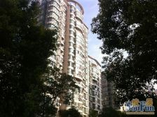 近地铁 精装,现场实勘 中间楼层,新上房源