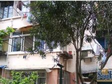 2F+南北2房+出小区是商场地铁150米一梯2户+97房龄