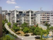 周浦·安康新村-川周公路4005弄·2室·2厅