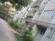 在暗处执着生长,终有一日馥郁传香