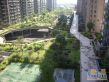 湘江世纪城星江苑实景图
