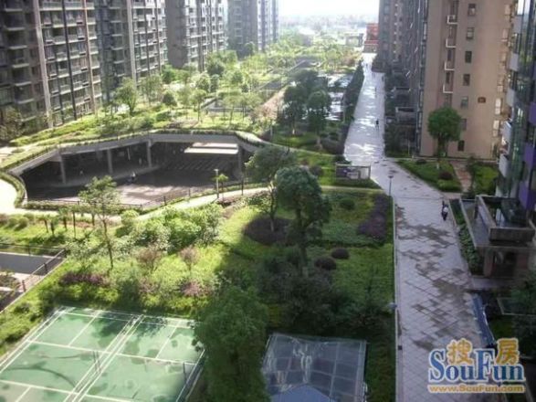 湘江世纪城星江苑实景图