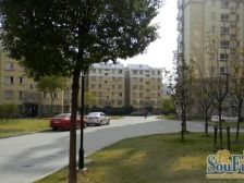 近地铁,毛坯 现场实勘,电梯房 新上房源