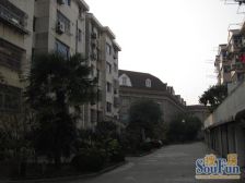 夏阳·大盈公寓·3室·2厅