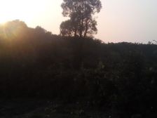 西班牙建筑风格该小区由松江大学相伴交通便利配套齐全