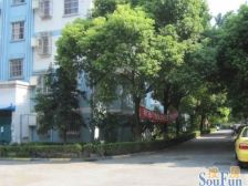 新上小区中心位置!中间楼层!采光好无遮挡!