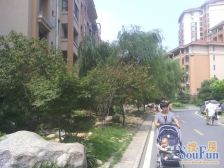 大蜀山,地铁口,电梯高层,中间景观,视野好