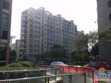 杨思前滩+次新商品房+三房两卫+电梯中高区