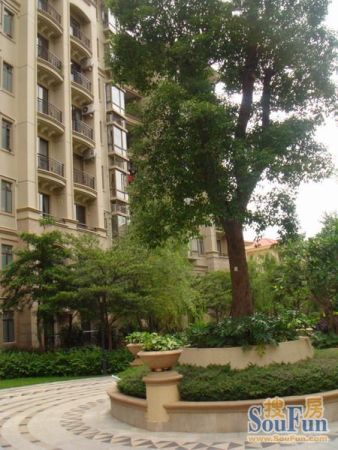 东莞石龙新城区世纪滨江豪园二手房七室 - 房天下