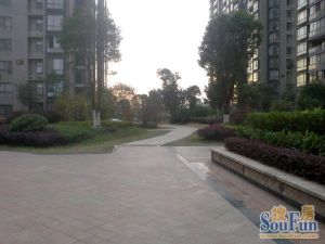 世纪城达江苑1室1厅东南