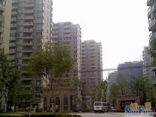 三林·金谊河畔·3室·2厅