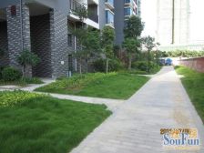 民族大道东盟站口 财富广场 精装6房 楼中楼有露台