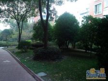 中南两房改小三房 南北通透 产权清晰 入住CBD