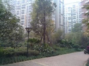 凯华丽景2室1厅东南