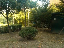 复式房,南北通透,一梯两户,简约风格,房型正气