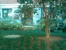 复式房,南北通透,小区中心位置,交通便利,精装修,带产权车位,配套完善