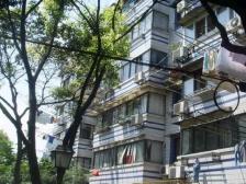 莲花新村经典小两房,采光好,视野佳 !!!