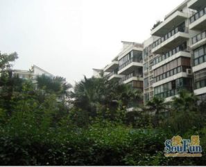 江南房子 1室1厅 东南