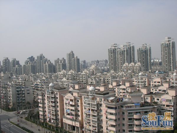 实景图
