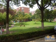 兰花教师公寓 3室2厅 南 北