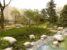 雁滩雁东路鸿泰雅园电梯2室2厅 精装修 南北通透可按揭