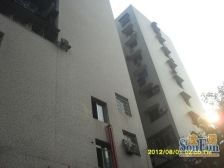 鱼洞 新市街二房