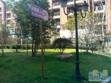 带地下室81平+40平天井,两房朝南一房朝北。纯毛坯