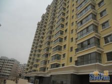 和谐家园 2室1厅 南