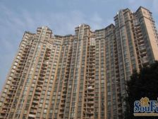 精装 世纪大道 园林小区