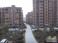 星怡花园 毛坯 全天采光 看房随时 诚心出售