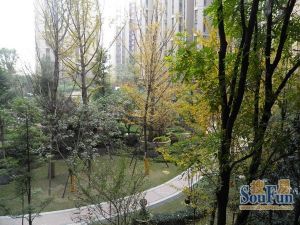 丽都花园丽府4室2厅南北