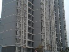 三林·三杨新村一街坊·1室·1厅