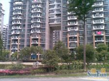 杨思前滩+次新商品房+三房两卫+电梯中高区