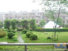 杨思品质小区!飞机三房!花园位置!看房钥匙业主诚意