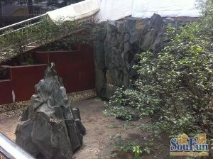 湘樟园3室2厅南