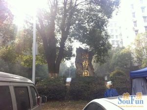 湘樟园3室2厅南北