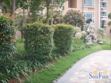 未来世界复式 精装修 使用率140%