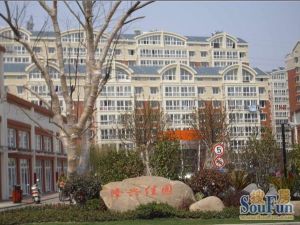 三室两厅,地下车库12平,中间楼层,毛坯房