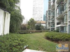 蓬莱公园·黄浦新苑·3室·2厅