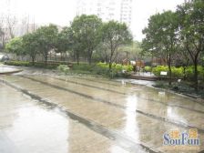 房子满五,小区半人车分流,双轨交